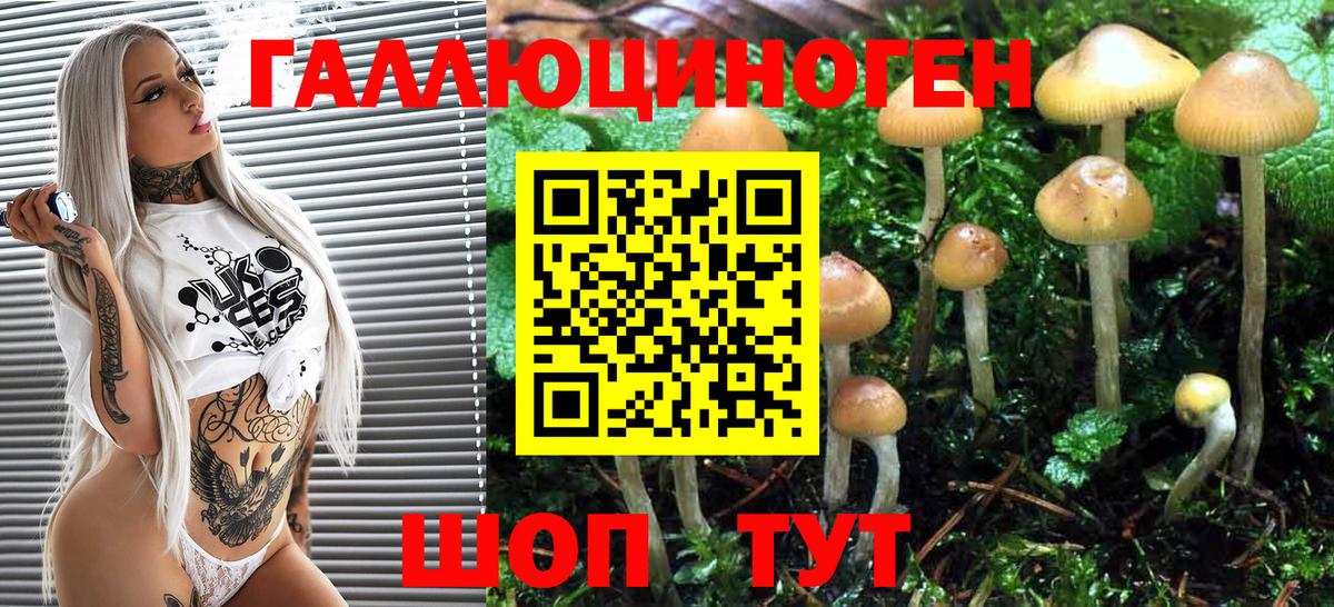 Галлюциногенные грибы Psilocybe  Псилоцибиновые грибы мицелий  где купить наркоту  Сочи  Вход с VPN 